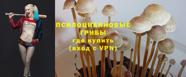 тгк Арсеньев