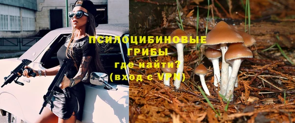 тгк Арсеньев