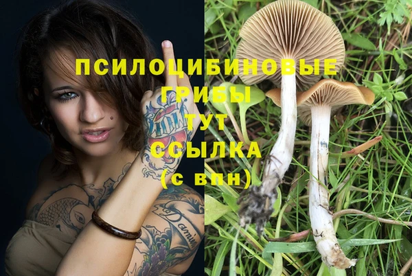 гидропоника Аркадак